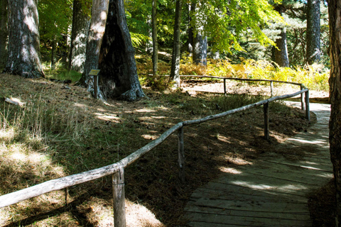 Camigliatello: Tour to the Giants Reserve & Wine Tasting Tour to the Giants Reserve & Wine Tasting