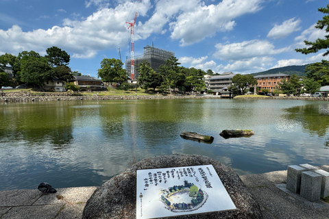 Nara: Guided Walking Tour with Great Buddha and Deer(5h)