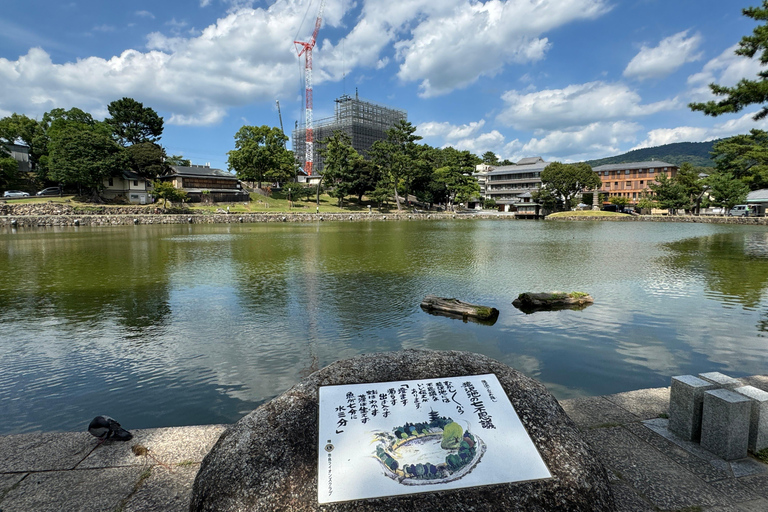 Nara: Wandeltour met gids met Grote Boeddha en Herten(5u)