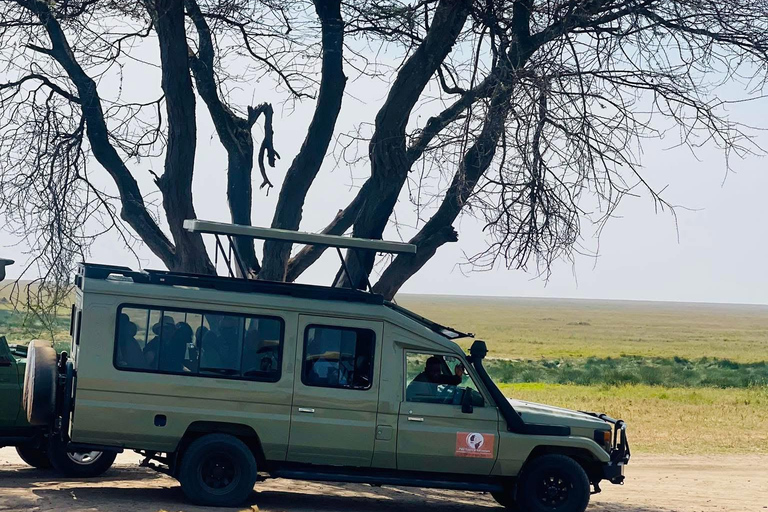 Arusha : 2-Day Ngorongoro Crater & Tarangire national park Arusha: 2 days tarangire and ngorongoro- group safari