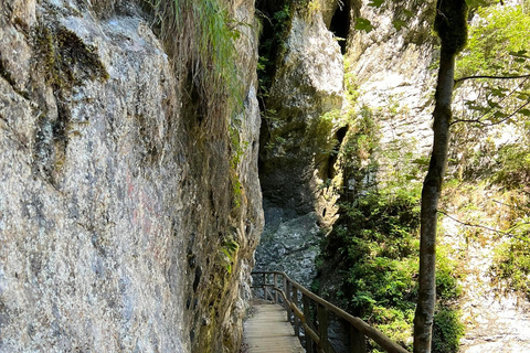 From Bled: Half-Day Pokljuka Gorge Trail Hike (Private)