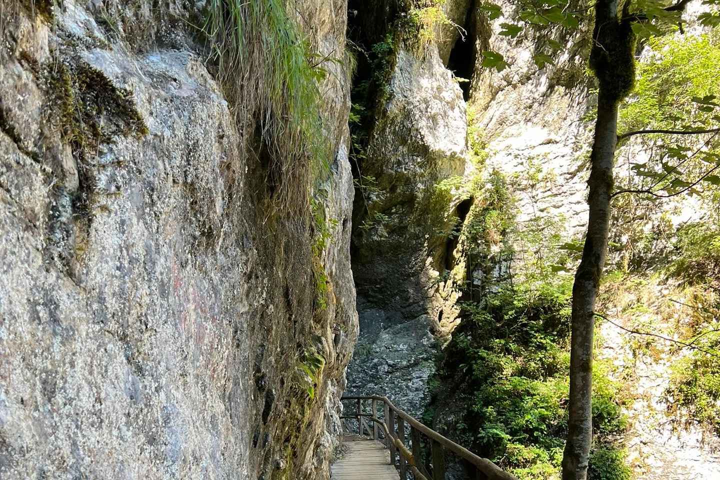 Gönguferð um Pokljuka gljúfur frá Bled