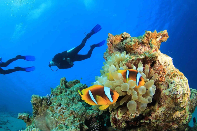 Alanya: Scuba Diving for Beginners & Certified Divers Scuba Diving for Beginners with Hotel Pick Up