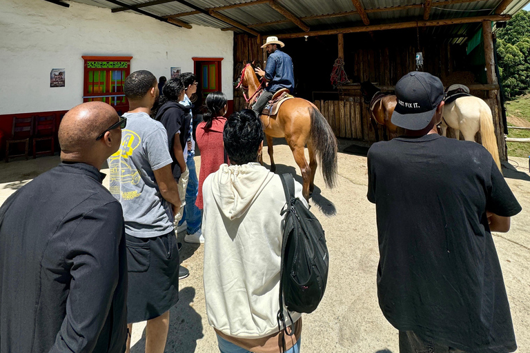 Medellín: Paseo a Caballo por las Montañas de la ciudad.