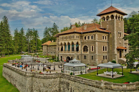 Bucharest: Brasov Old Town & Dracula's & Wednesday & Peles