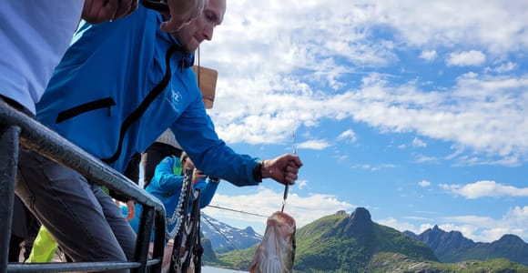 From Svolvaer: Lofoten Fishing Boat Cruise