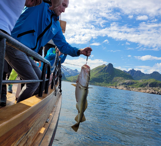 Paseos en barco en Svolvær