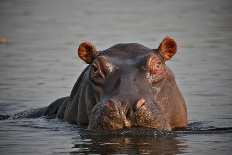 5-Day Zululand Tour of Drakensberg, Hluhluwe & Isimangaliso