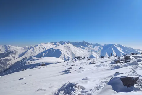 Srinagar: Gulmarg Day Tour - Explore the Meadow of Flowers