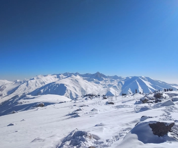 Srinagar: Excursión de un día a Gulmarg - Explora la Pradera de las Flores