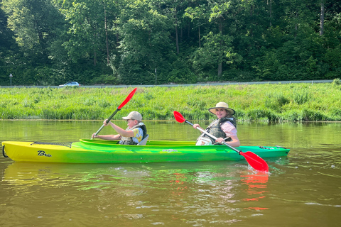 Vilnius: Night Kayak Tour on the Neris River