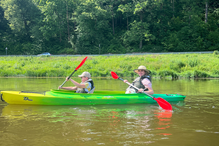 Vilnius: Night Kayak Tour on the Neris River