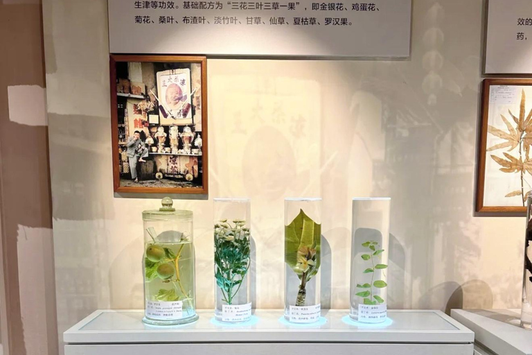Guangzhou Food Tour: Hidden Gem Museum + Authentic Dim Sum
