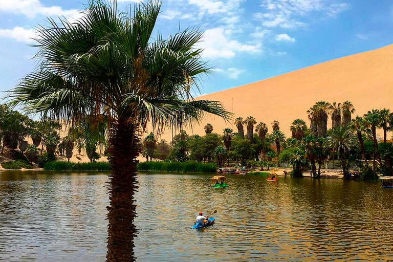 Full day tour to Huacachina and Paracas