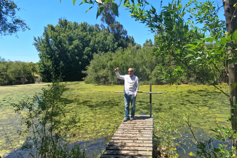 Curacaví Valley: Private Wine Tour of Viña Lopez Pangue and El Cuadro Curacaví Valley: Private Wine Route Tour - Viña Lopez Pangue and El Cuadro