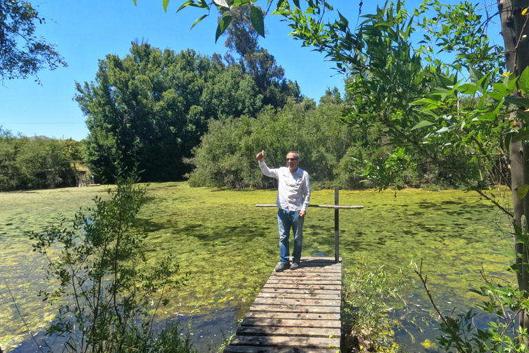 Curacaví Valley: Private Wine Tour of Viña Lopez Pangue and El Cuadro Curacaví Valley: Private Wine Route Tour - Viña Lopez Pangue and El Cuadro