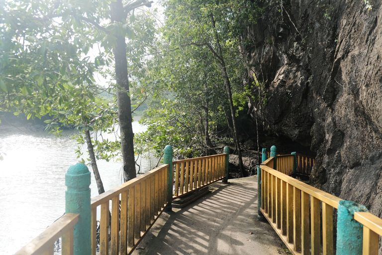 Langkawi : visite privée de 2 heures dans la mangrove avec transfert depuis l&#039;hôtelGroupe de 6 personnes (par bateau)