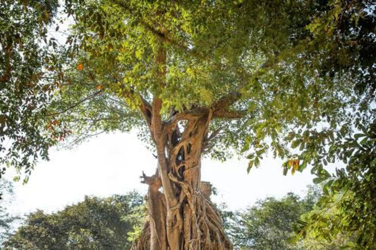Siem Reap to Phnom Penh: Private Transfer with Scenic Stops