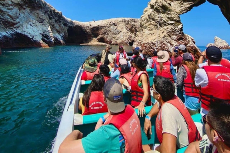 Ica: Full day to the Ballestas Islands and the Paracas National Reserve Ica: Full Day to the Ballestas Islands and Paracas National Reserve