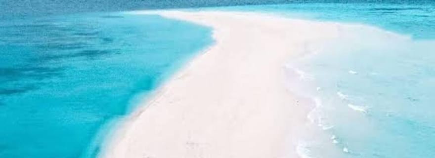 Zanzibar : excursion privée d'une journée aux bancs de sable de Nakupenda avec déjeuner