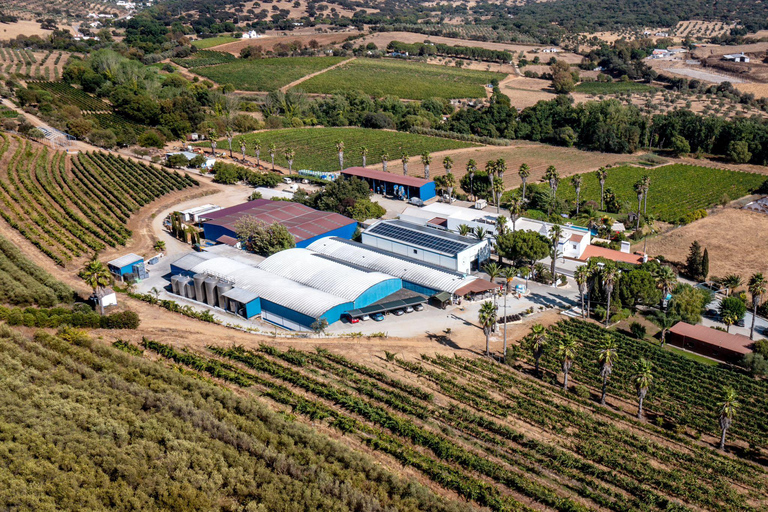 Évora o Montemor: Picnic presso la cantina Plansel