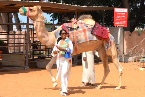 Abu Dhabi: tour a piedi all&#039;interno dell&#039;Heritage VillageTour a piedi all&#039;interno dell&#039;Heritage Village