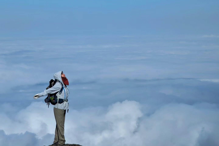 Kilimanjaro: Rongai Route 6-Day Hiking Adventure