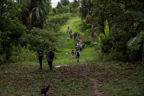 Jungle of the mirrors 4 days 3 nights