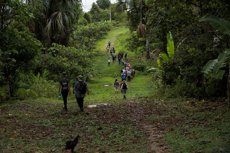 Von Iquitos aus: Pacaya Samiria - 3 Tage Amazonas Dschungel Tour