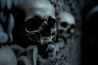 Paris, Guided Visit Inside Notre Dame's Crypt and Catacombs - Housity