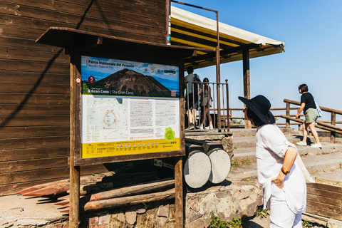 From Naples: All-Inclusive Mount Vesuvius Half-Day Tour From Naples Hotel at 2pm