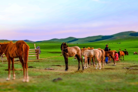 Mongolia: 11-dniowa wycieczka z pustynią Gobi i festiwalem Naadam