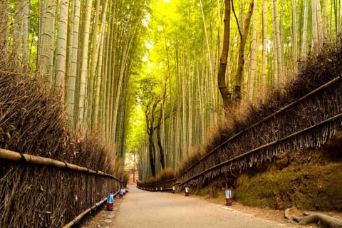 Kyoto & Nara: Private Full-Day Tour with Hotel Pickup - Image 2