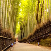 Kyoto & Nara: Private Full-Day Tour with Hotel Pickup Kyoto & Nara: Private Full-Day Tour with Hotel Pickup