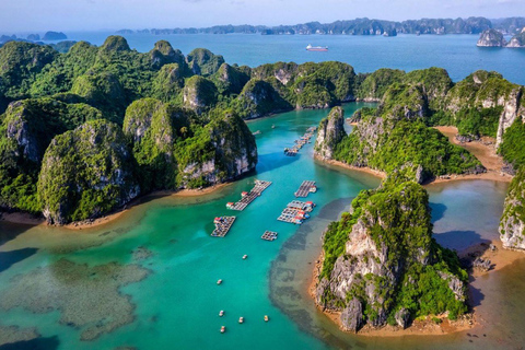 Crociera di 3 giorni e 2 notti nella baia di Ha Long con balcone privatoElegante Suite Standard con balcone privato