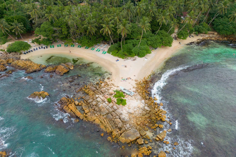 Mirissa: Private Coastal Tour with Coconut Tree Hill