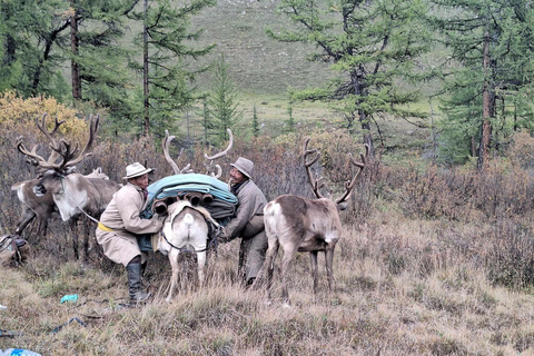 Ulaanbaatar: 9-Day Northern Mongolia Reindeer Adventure