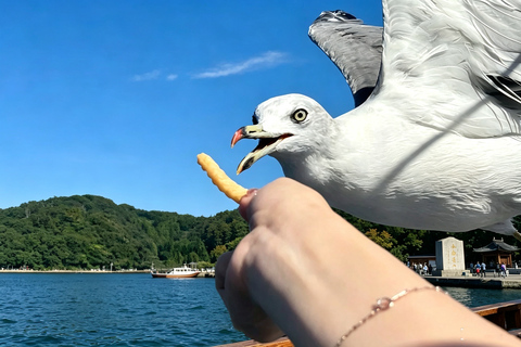 Osaka: Amanohashidate, Ine Cruise & Miyama Village From Osaka (Basic Package)
