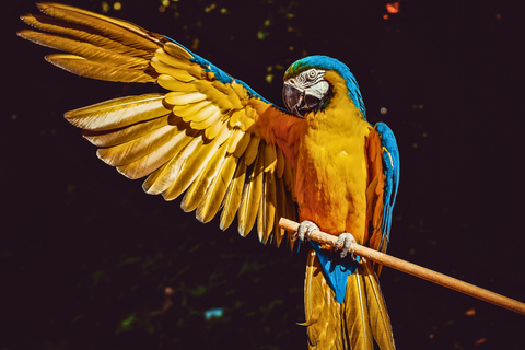 Cusco: Manu Cultural Zone 4-Day Photography Experience