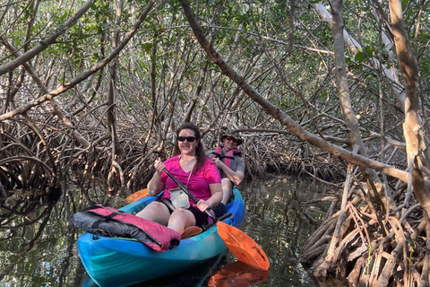 Key West: 3-hour Mangrove Kayak Tour Tandem