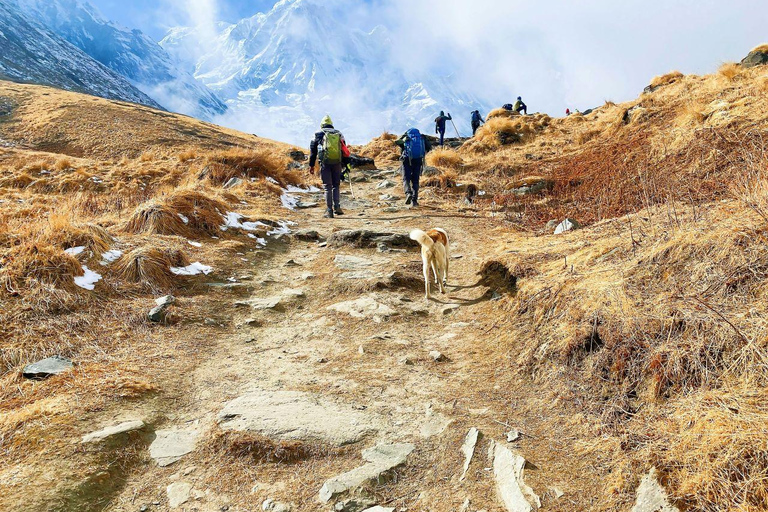 Kathmandu/Pokhara: 5-Day Annapurna Base Camp (ABC) Trek From Pokhara: ABC 5-Day Budget Trek