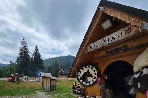 From Krakow: Tatra Mountains Zakopane Day Trip with Skywalk