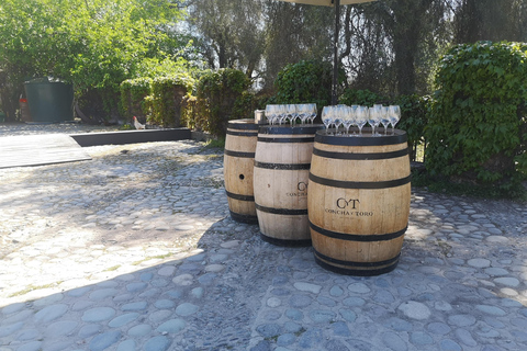 Wine Tour with 7 Tastings + Private Transport + Lapis Lazuli