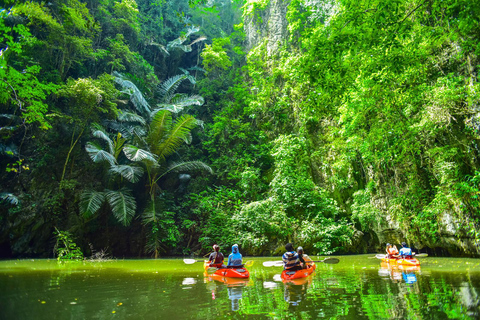 Krabi: excursão de meio dia em caiaque no mangue Bor Thor