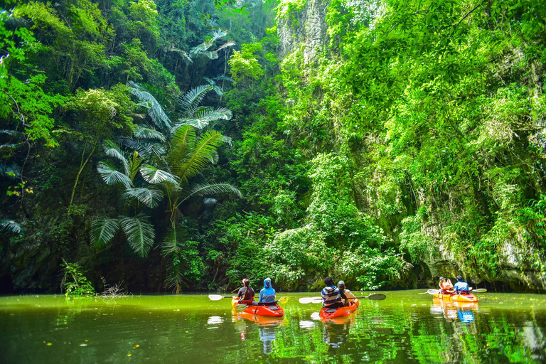 Krabi: Half-Day Bor Thor Mangrove Kayaking Tour