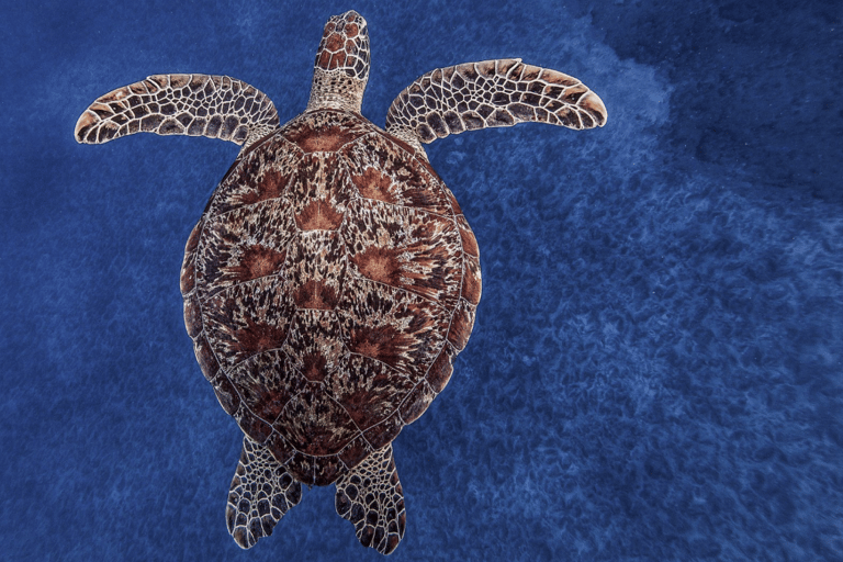 Zanzibar: The Rock Restaurant and Salaam Cave Tour