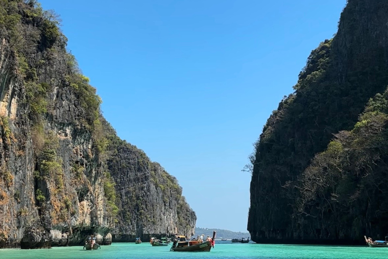 Phi Phi Islands: Shark Snorkeling Phi Phi Islands: PRIVATE VIP Shark Snorkeling - 4h