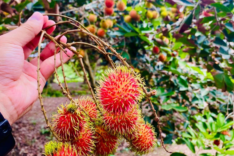 Excursión de 2 días por el Delta del Mekong :Explora el Mercado Flotante de Cai Rang