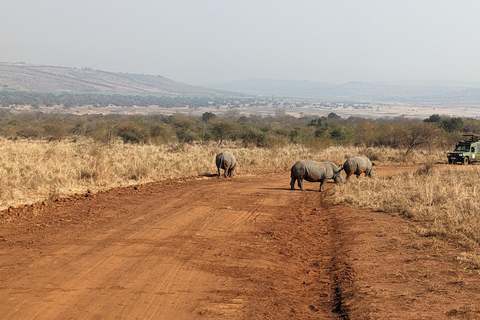 Da Kigali: Safari di 2 giorni nel Parco Nazionale di Akagera con barca ...