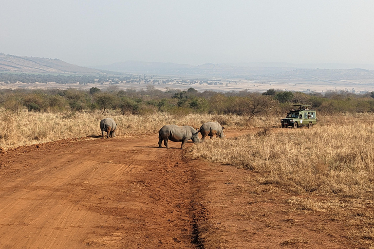 Da Kigali: Safari di 2 giorni nel Parco Nazionale di Akagera con barca ...